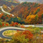 خلخال به اسالم ۱