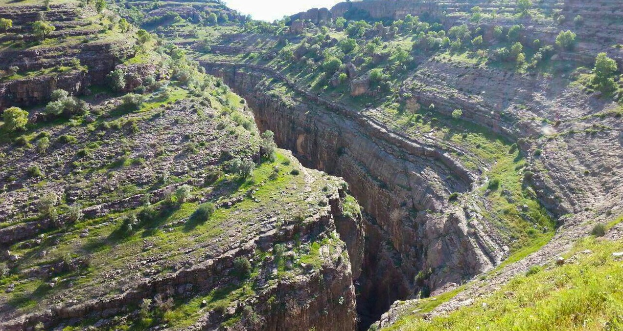 ویژدرون ایلام